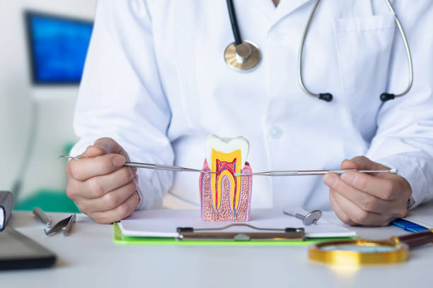 Best Tooth Pain Emergency Relief  in Williamsport, OH